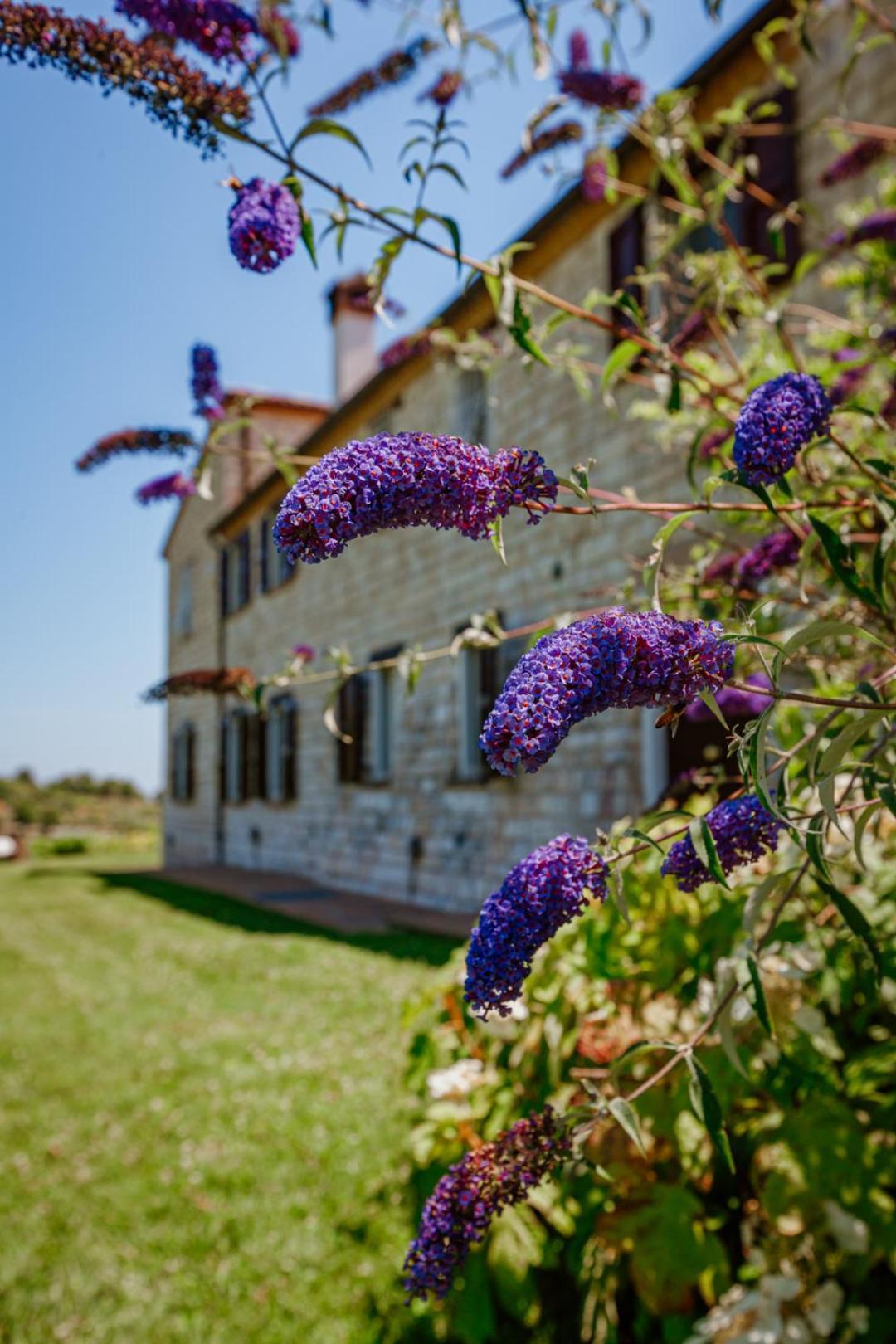 Alle Pendici Del Conero Sirolo Buitenkant foto